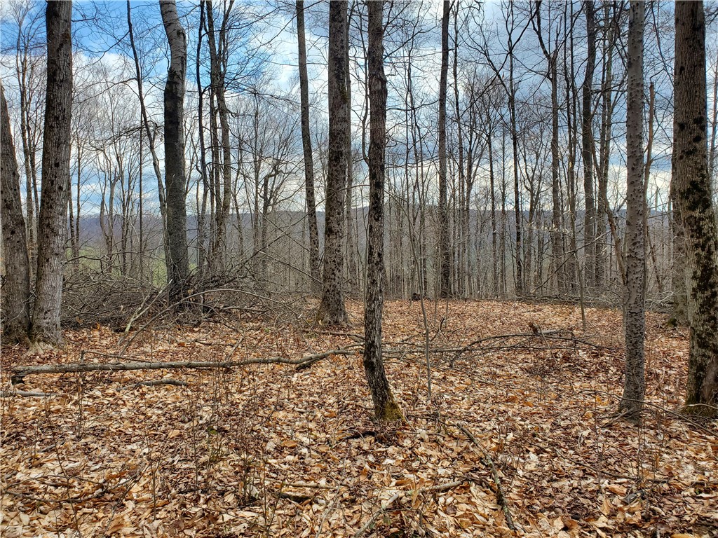 Lot 3 4 & 5 Goddards Road, New Lisbon, New York image 14