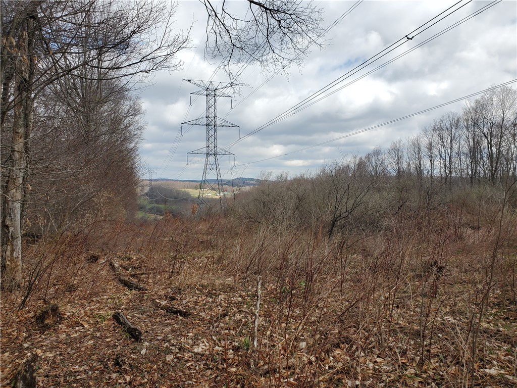 Lot 3 4 & 5 Goddards Road, New Lisbon, New York image 20