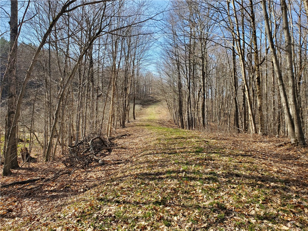 Lot 3 4 & 5 Goddards Road, New Lisbon, New York image 15