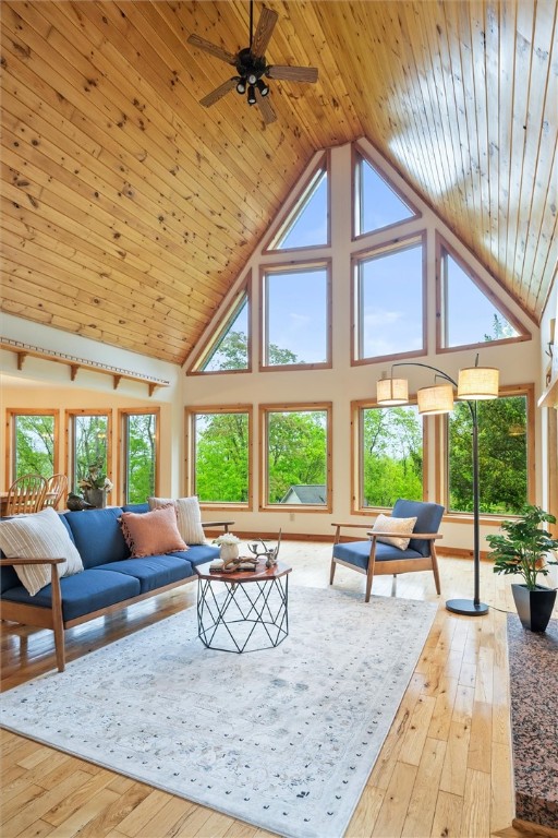 4901 Blank Rd Rd, Livonia, New York image 19
