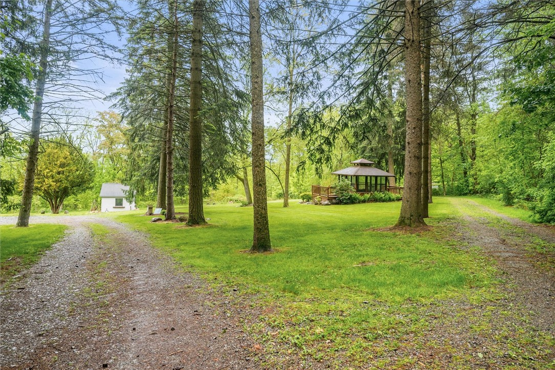 4901 Blank Rd Rd, Livonia, New York image 47