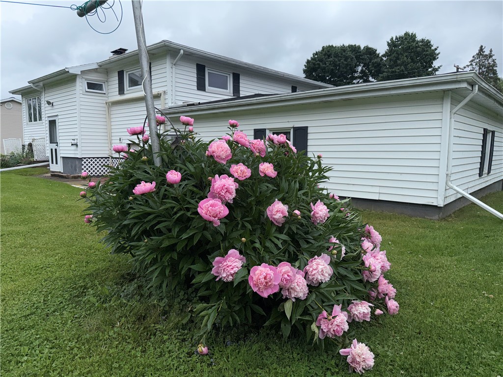 2988 East Avenue, Waterloo, New York image 5