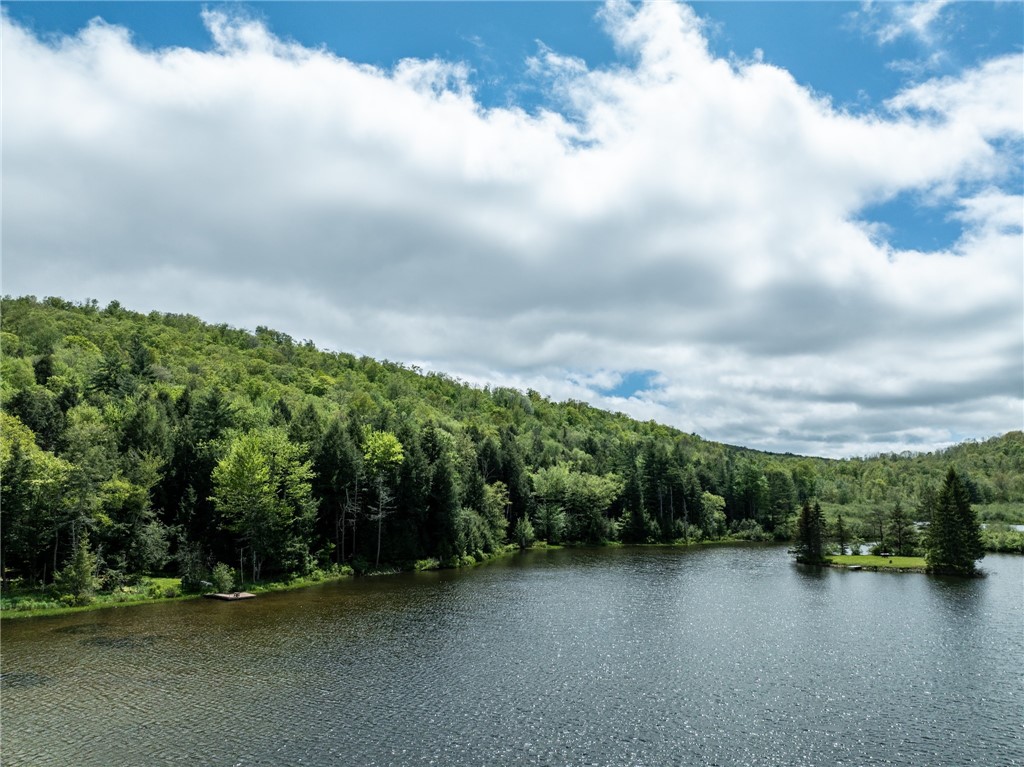 122 Trails End Rd, Jefferson, New York image 5