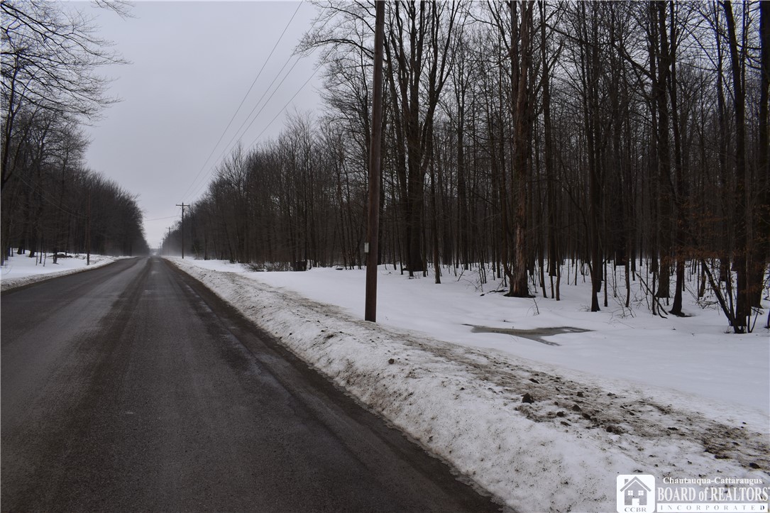 Chautauqua & Harris Hill, Gerry, New York image 18