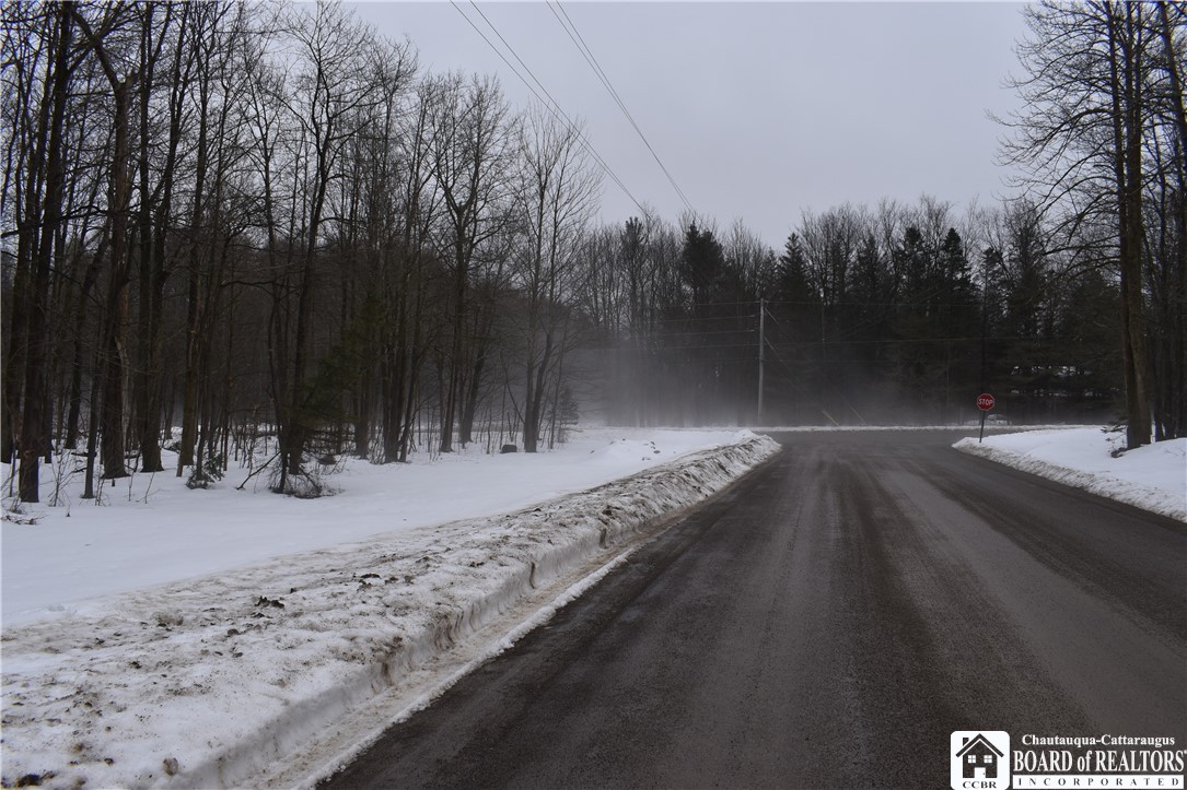 Chautauqua & Harris Hill, Gerry, New York image 17