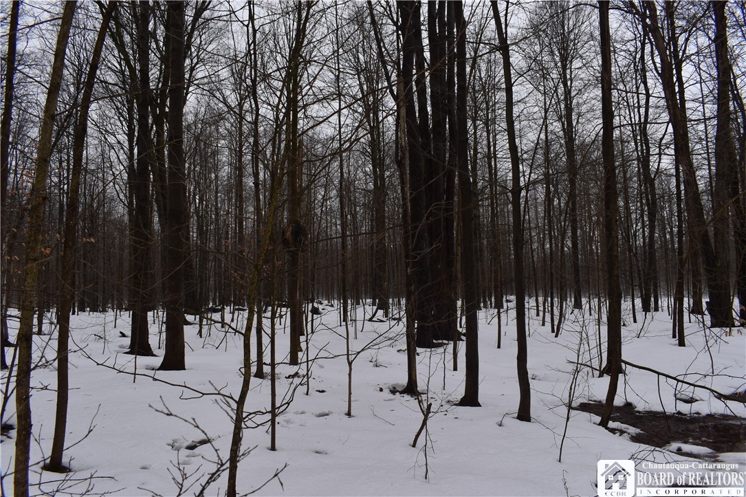 Chautauqua & Harris Hill, Gerry, New York image 9