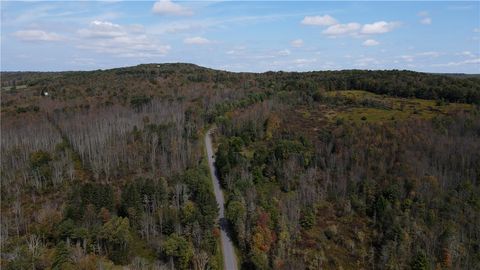 Vacant Land For Sale - Sisson Hill Road<br/> Unadilla, NY 13849