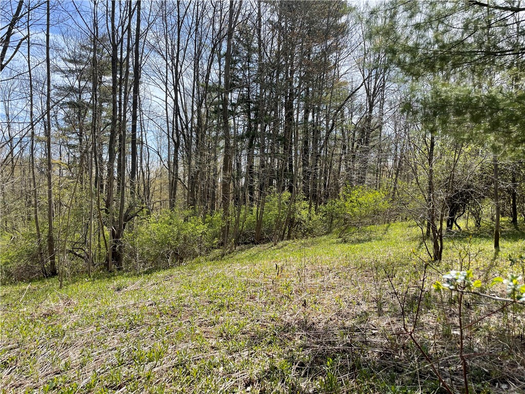 Lot#27.2 Bida Road, New Berlin, New York image 3