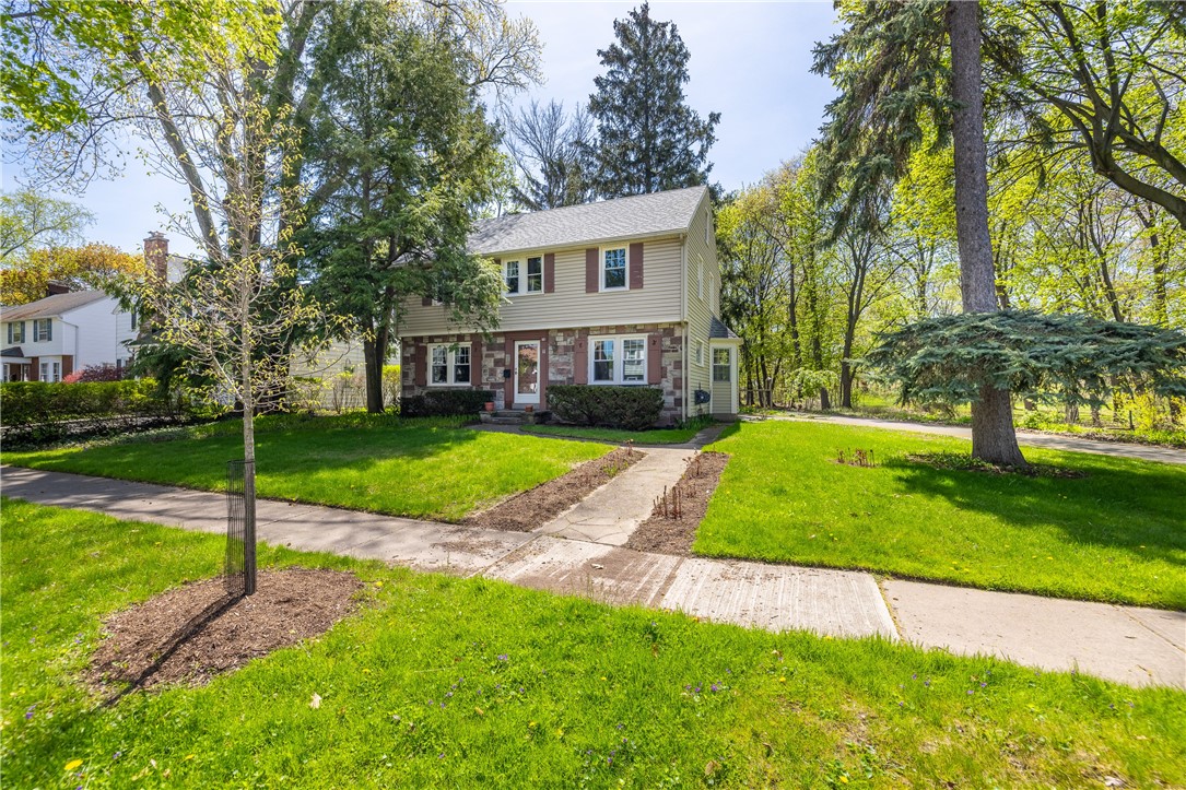 11 covington road