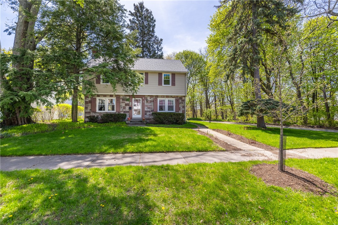 11 covington road