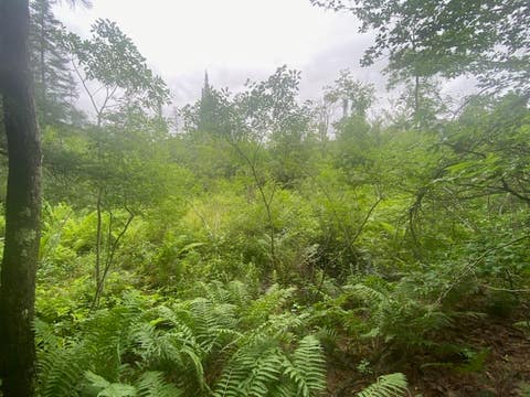 Photo for Marsh Road