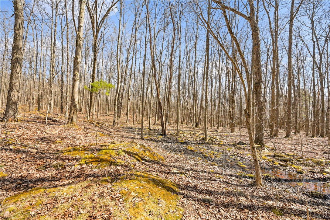 7900 Olmstead Road, East Bloomfield, New York image 8