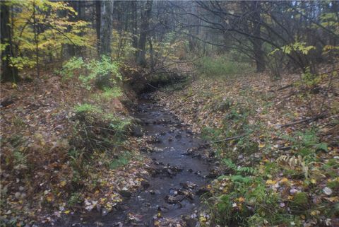 Vacant Land For Sale - Crandall Rd & County Rd 37<br/> Guilford, NY 13780