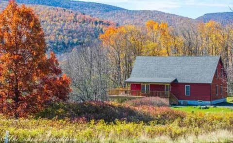 Tiny photo for 295 Tumbleweed Ranch Road, Lexington, NY 12452 (MLS # R1690217)
