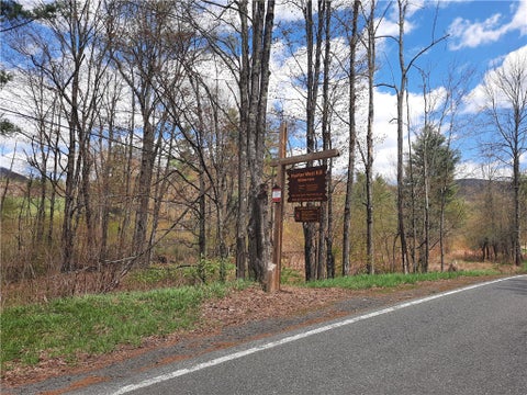 Tiny photo for 295 Tumbleweed Ranch Road, Lexington, NY 12452 (MLS # R1690217)