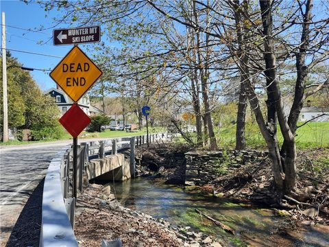 Tiny photo for 295 Tumbleweed Ranch Road, Lexington, NY 12452 (MLS # R1690217)