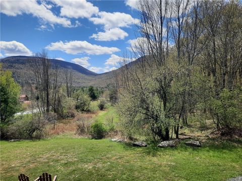 Tiny photo for 295 Tumbleweed Ranch Road, Lexington, NY 12452 (MLS # R1690217)