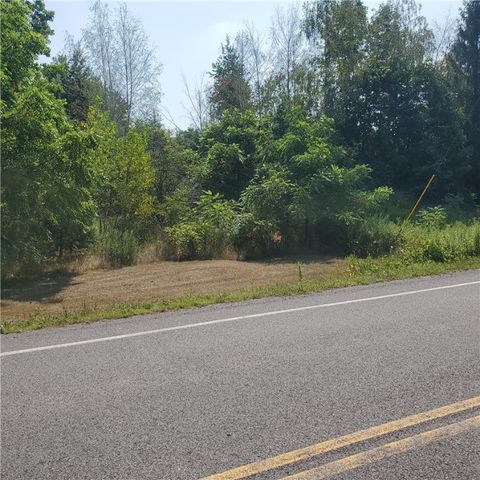 Vacant Land For Sale - 6462 Furnace Road<br/> Wayne County, Ontario, NY 14519