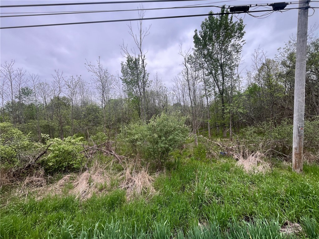 5670 Thompson Road