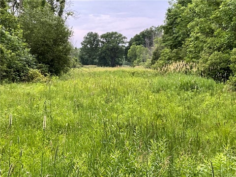 Tiny photo for W Barre Road, Barre, NY 14411 (MLS # R1694273)