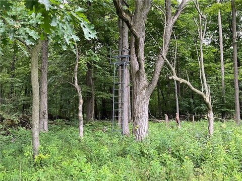 Tiny photo for W Barre Road, Barre, NY 14411 (MLS # R1694273)