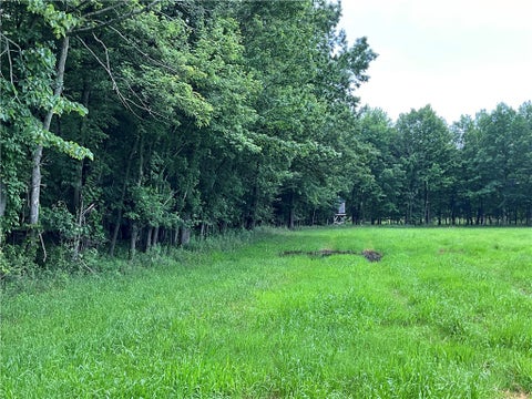 Tiny photo for W Barre Road, Barre, NY 14411 (MLS # R1694273)