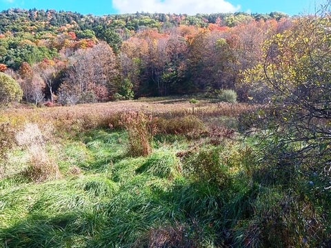 Tiny photo for 228 County Highway 38, Worcester, NY 12064 (MLS # R1720747)