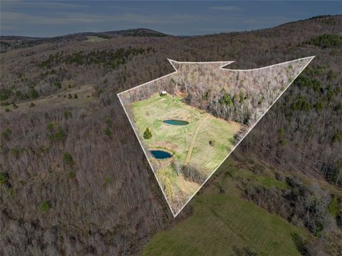 Photo of 0 Knutsen Road, Worcester, NY 13488 (MLS # R1603462)