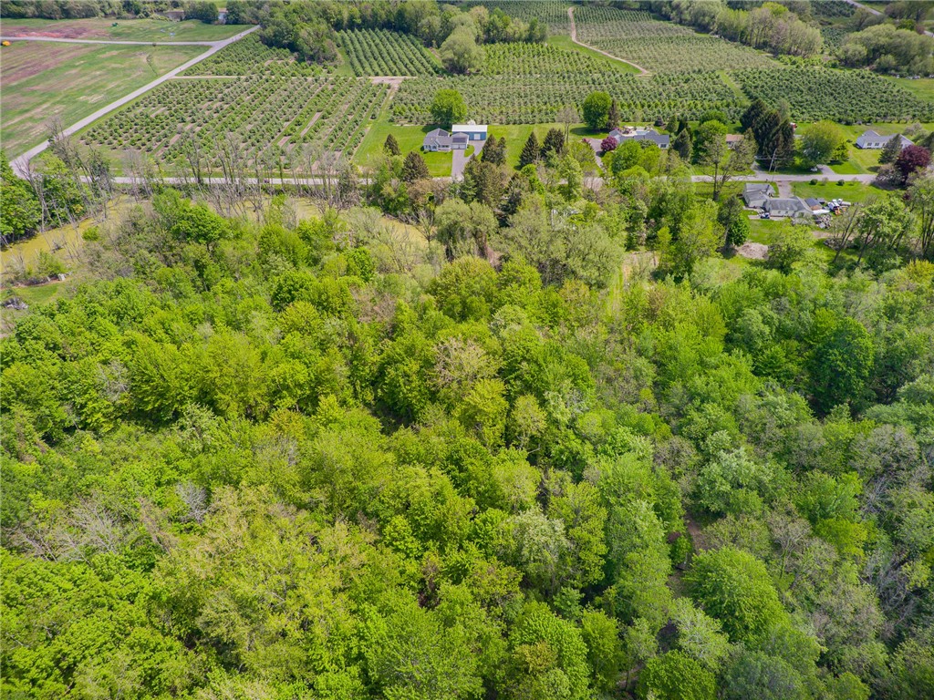 6681 Maxwell Road, Sodus, New York image 29
