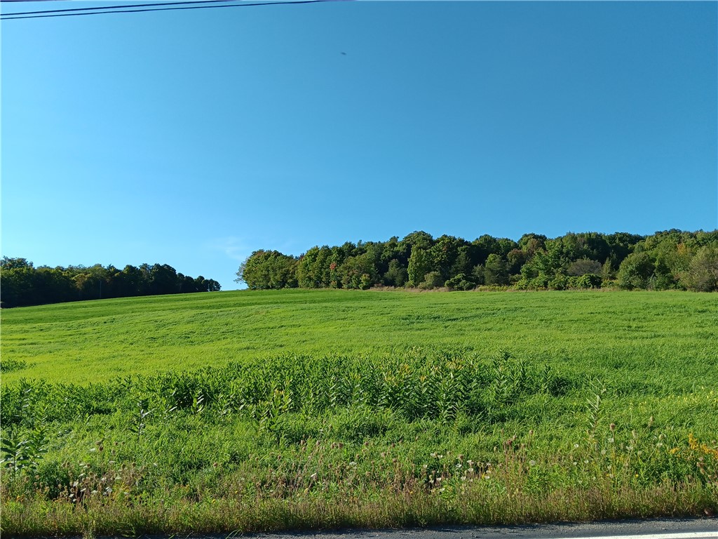 1.11 N. Harpersfield Road, Jefferson, New York image 9