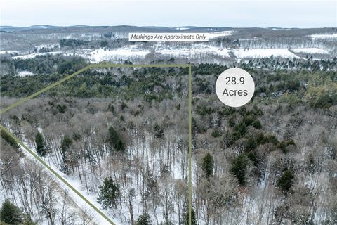 Tiny photo for 0 Hemlock Road, Columbus, NY 13411 (MLS # R1654174)