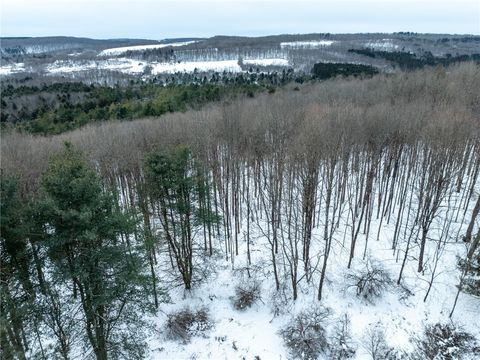 Tiny photo for 0 Hemlock Road, Columbus, NY 13411 (MLS # R1654174)