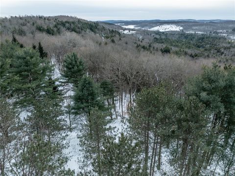 Tiny photo for 0 Hemlock Road, Columbus, NY 13411 (MLS # R1654174)