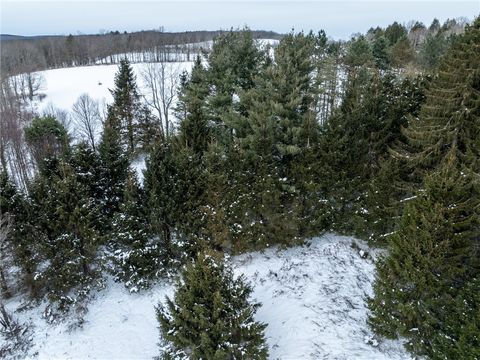 Tiny photo for 0 Hemlock Road, Columbus, NY 13411 (MLS # R1654174)