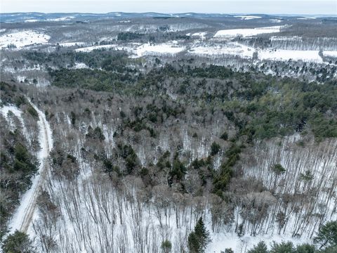 Tiny photo for 0 Hemlock Road, Columbus, NY 13411 (MLS # R1654174)