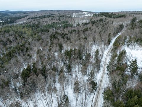 Tiny photo for 0 Hemlock Road, Columbus, NY 13411 (MLS # R1654174)