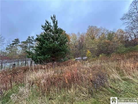 Vacant Land For Sale - 6376 Cemetery Road<br/> Ripley, NY 14775