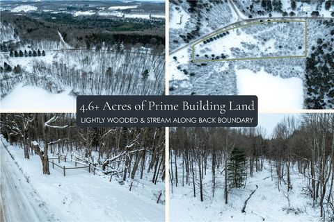 Photo of Lot 36 Spurr Street, Columbus, NY 13411 (MLS # R1654176)