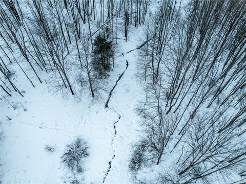 Tiny photo for Lot 36 Spurr Street, Columbus, NY 13411 (MLS # R1654176)