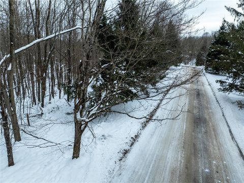 Tiny photo for Lot 36 Spurr Street, Columbus, NY 13411 (MLS # R1654176)