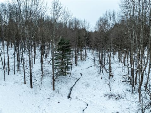 Tiny photo for Lot 36 Spurr Street, Columbus, NY 13411 (MLS # R1654176)