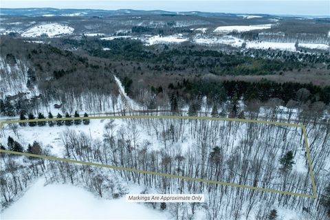 Tiny photo for Lot 36 Spurr Street, Columbus, NY 13411 (MLS # R1654176)