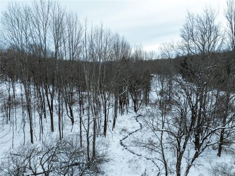 Tiny photo for Lot 36 Spurr Street, Columbus, NY 13411 (MLS # R1654176)