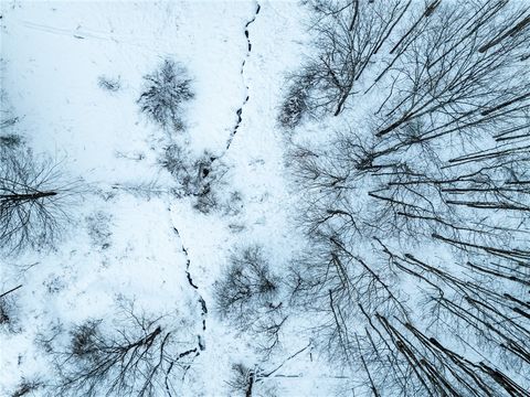 Tiny photo for Lot 36 Spurr Street, Columbus, NY 13411 (MLS # R1654176)