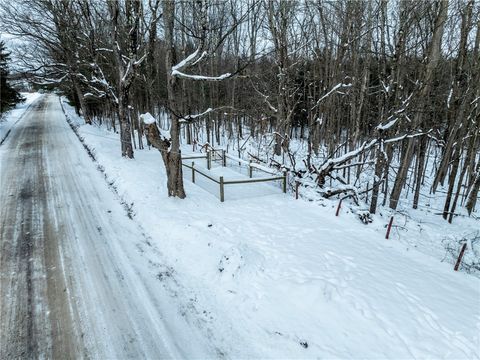 Tiny photo for Lot 36 Spurr Street, Columbus, NY 13411 (MLS # R1654176)