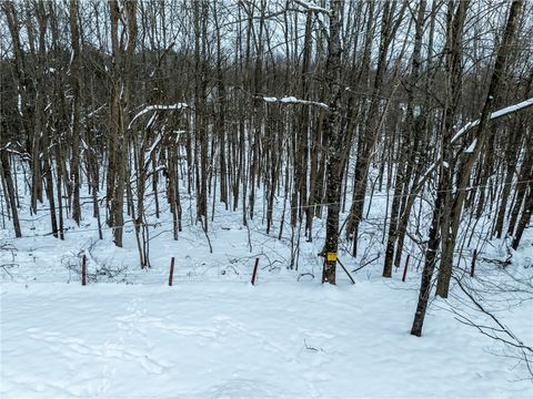 Tiny photo for Lot 36 Spurr Street, Columbus, NY 13411 (MLS # R1654176)