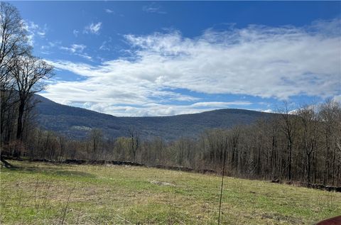 Vacant Land For Sale - Vega Mountain Road<br/> Roxbury, NY 12474