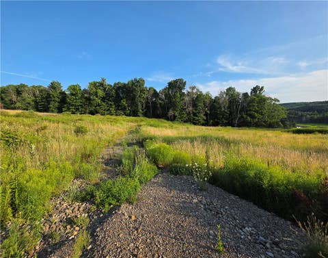 Tiny photo for 652 Ideuma Road, Unadilla, NY 13849 (MLS # R1701688)