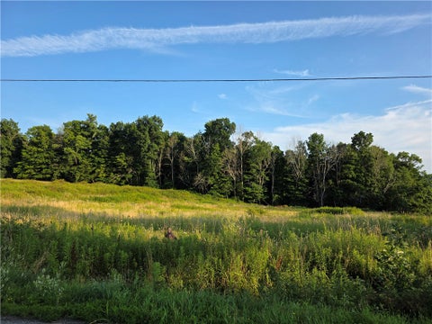 Tiny photo for 652 Ideuma Road, Unadilla, NY 13849 (MLS # R1701688)