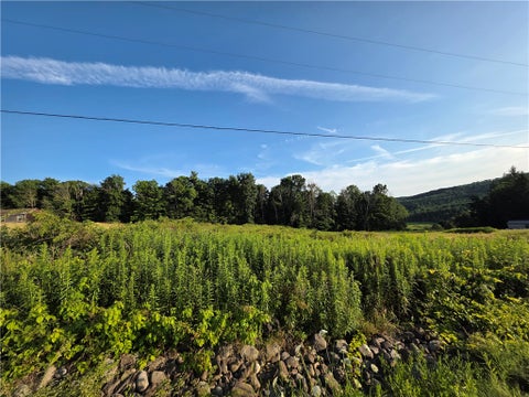 Tiny photo for 652 Ideuma Road, Unadilla, NY 13849 (MLS # R1701688)